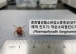 풀숲, 논밭도 조심… 장성군 “진드기 매개 감염병 주의”